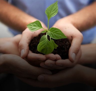 Diploma in Environmental Health